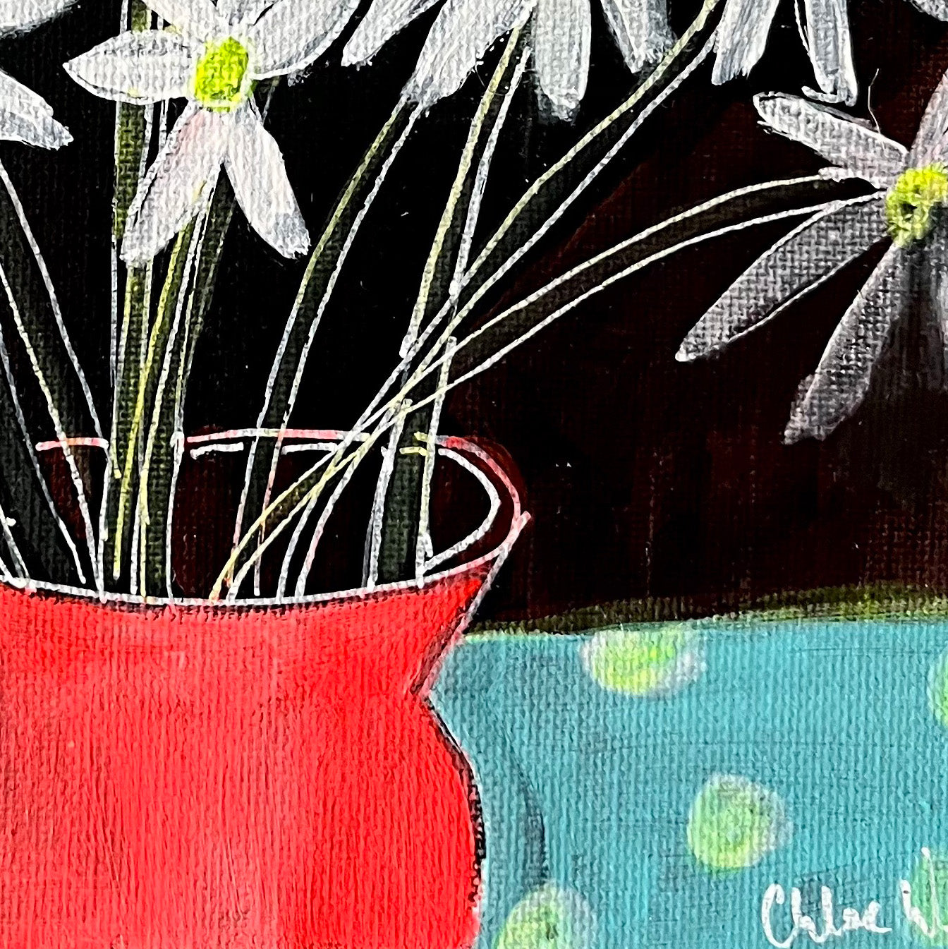 Marguerites de Chloé Galkin