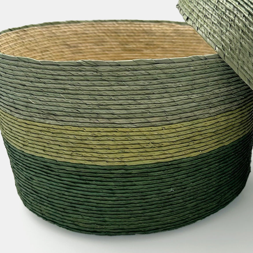 Panier de rangement en combo vert