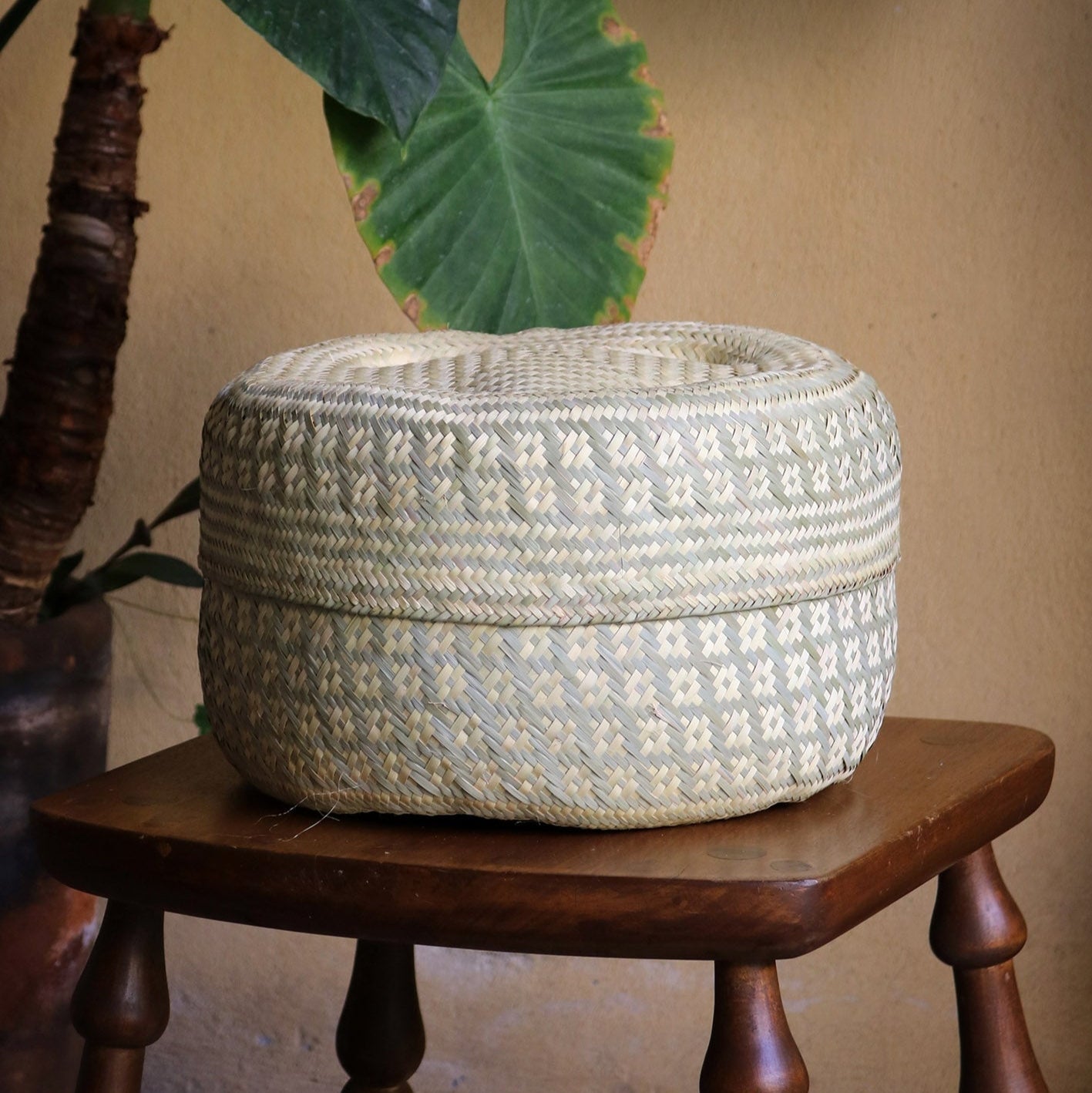 Panier à couvercle en grand format vert naturel