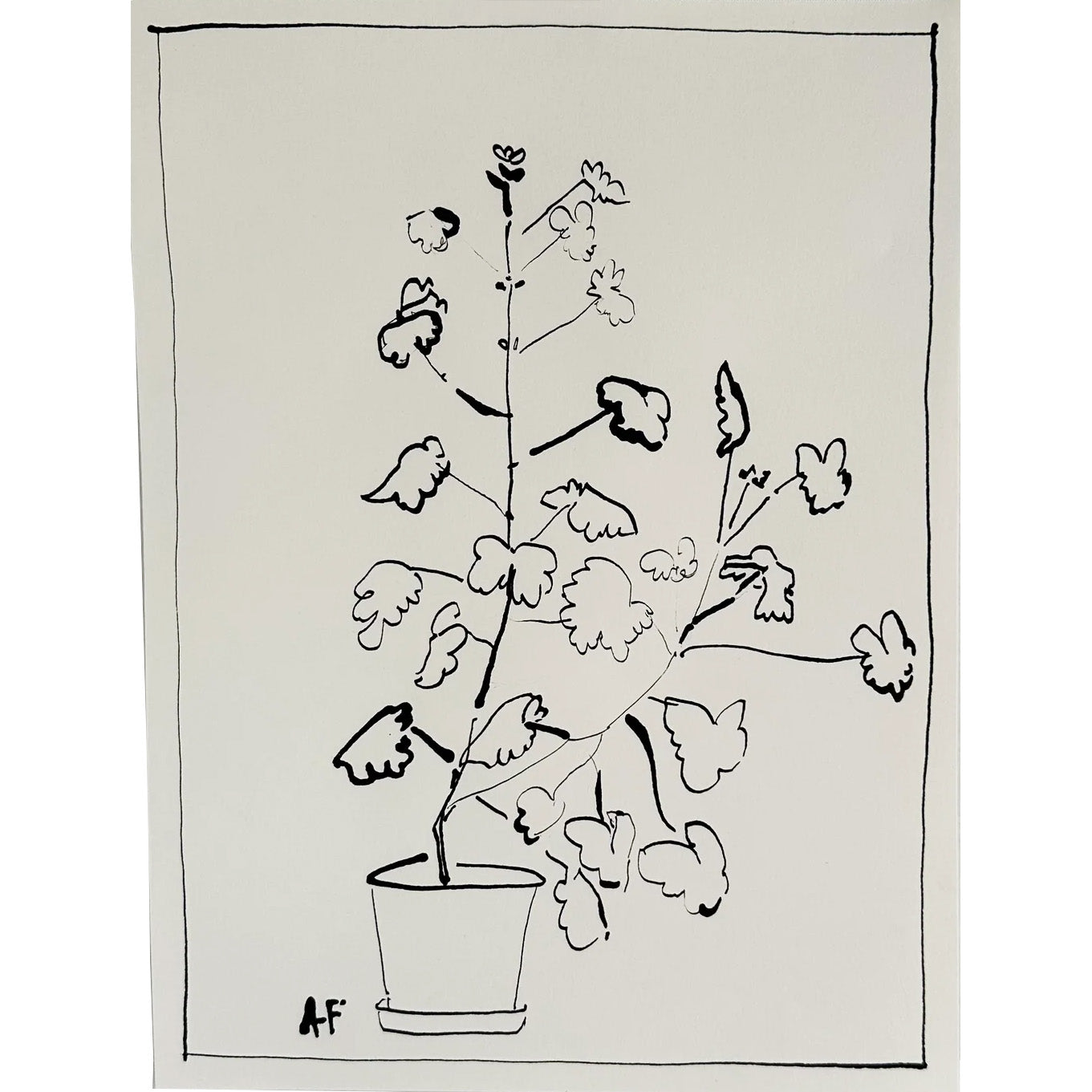 Géranium ii en pot par Aislinn Forbes