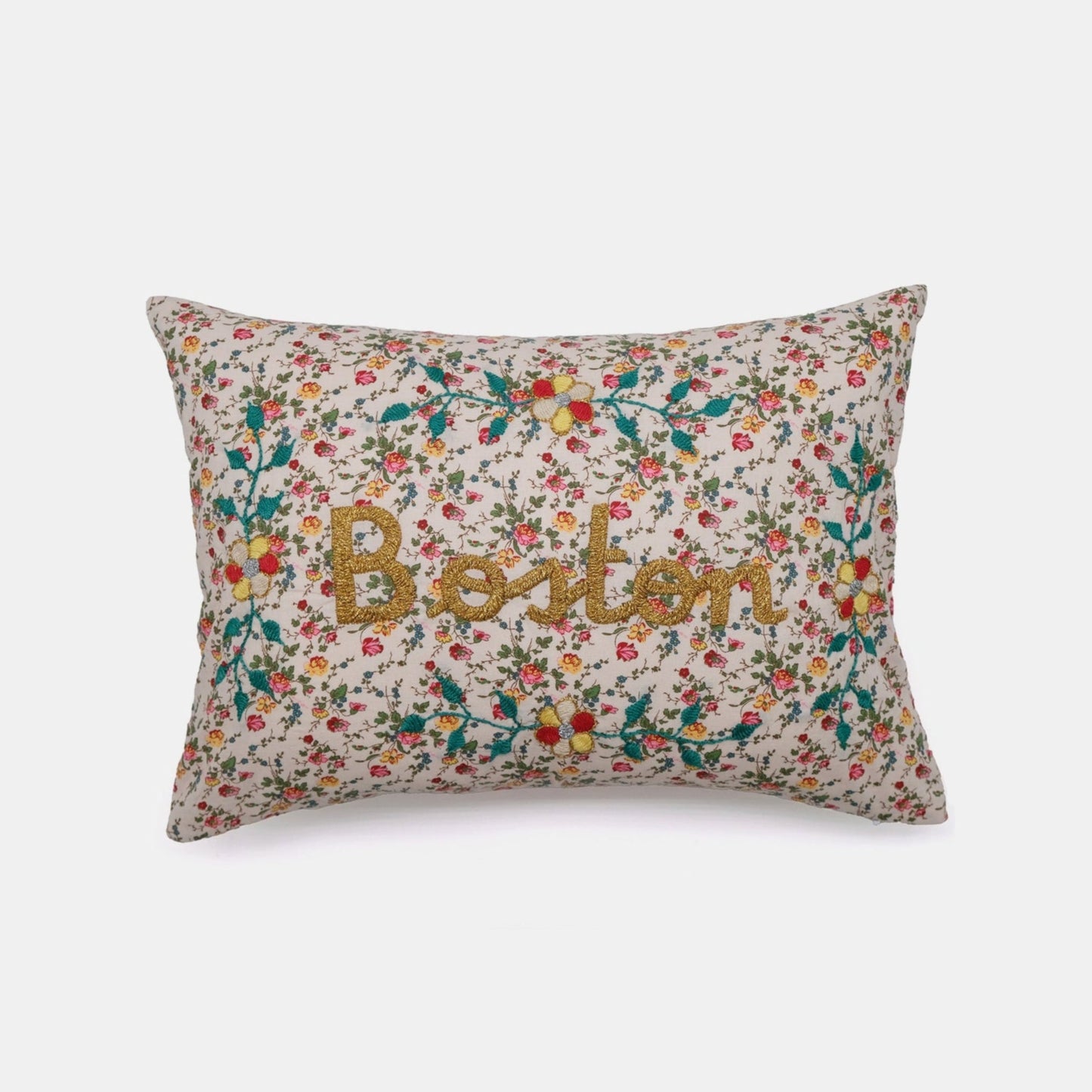Coussin lombaire brodé Boston Multi