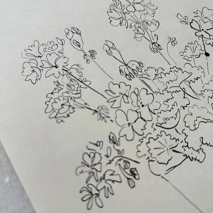 Géraniums en pot à l'encre de Chine par Aislinn Forbes