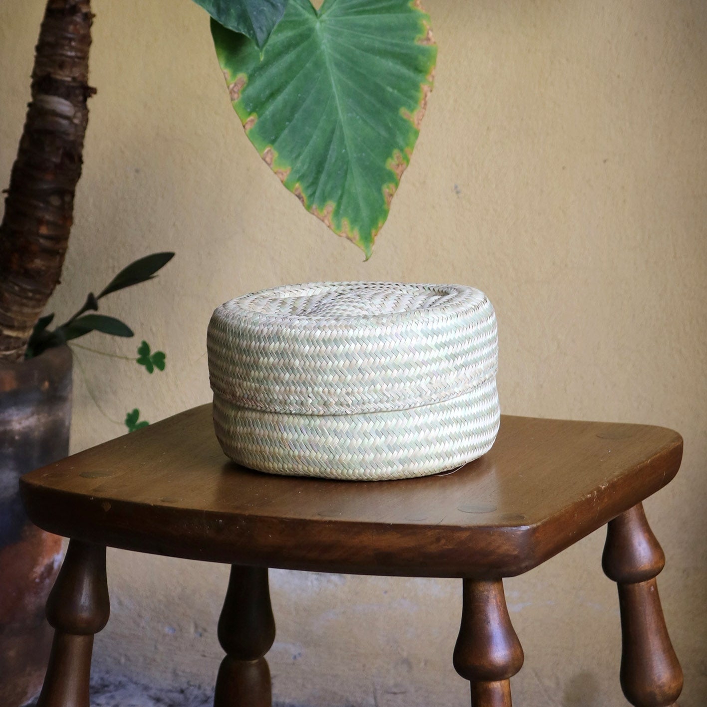Panier à couvercle en petit vert naturel
