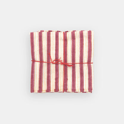 Serviettes Salem Automne : lot de 4